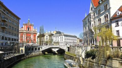 Tragična najdba v Ljubljanici: Preiskava še brez odgovorov 3 tragicna najdba v ljubljanici preiskava se brez odgovorov 6a34e8fde101a 1781852413