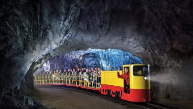 turisti razocarani javni prevoz v postojni povzroca tezave 6a3bb8b933ced 1782298809