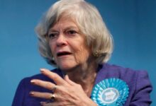 Ann Widdecombe stran fb