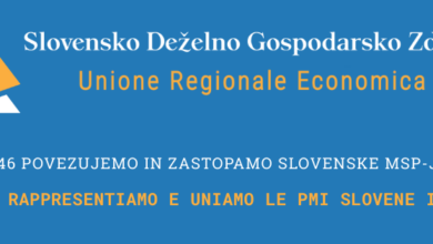 ambiciozni nacrti sdgz za preobrazbo gospodarstva v fjk 6a549b0b486a5 1783929611