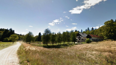 baza 20 simbol odpora in drzavnosti znova v srediscu pozornosti foto 6a61d82b3162e 1784797227