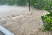 celjski kriminalisti razkrili milijonsko goljufijo po poplavah 6a6a239d4263d 1785340829