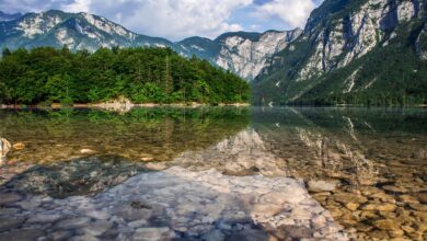 cianobakterije v bohinjskem jezeru ali je kopanje se varno 6a4e49dee10ac 1783515614