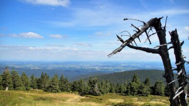 Dramatična nesreča na Golici: Pretrgana jeklenica za las zgrešila upravljalca 3 dramaticna nesreca na golici pretrgana jeklenica za las zgresila upravljalca 6a6a0772e8a96 1785333618