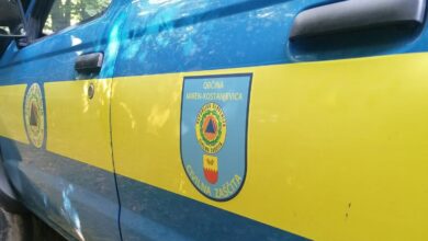 Fekalno onesnaženje v Vipavi: Kje je še varno kopati #foto 2 fekalno onesnazenje v vipavi kje je se varno kopati foto 6a5b78d96abfe 1784379609