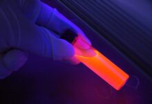 forensic