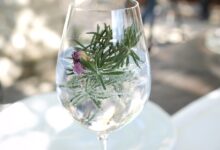 gin brin festival v dutovljah odkrijte skrivnosti okusov 6a47ea9968589 1783098009