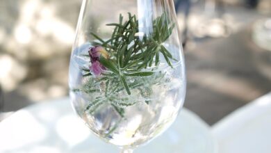 gin brin festival v dutovljah odkrijte skrivnosti okusov 6a47ea9968589 1783098009