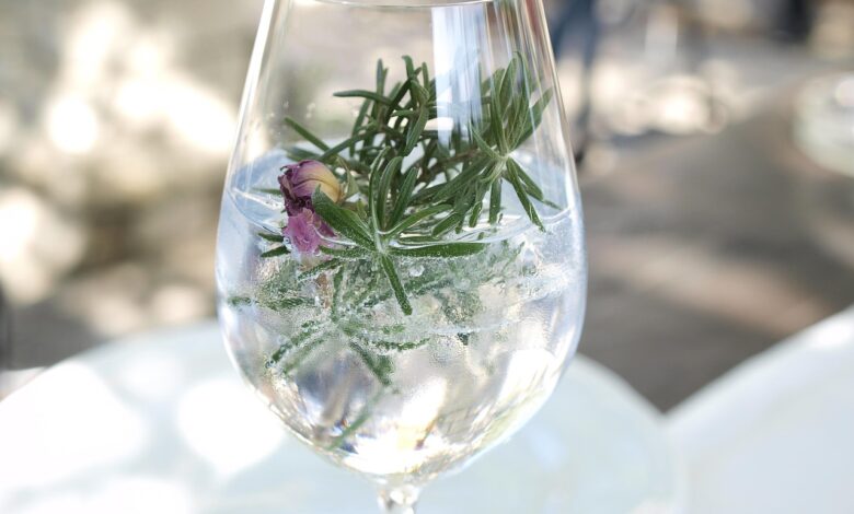 gin brin festival v dutovljah odkrijte skrivnosti okusov 6a47ea9968589 1783098009