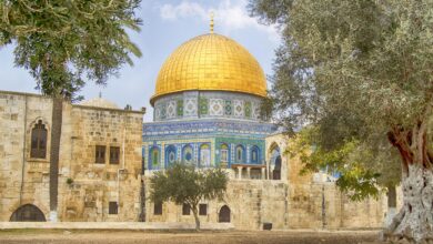 Hamas šokira z razpustitvijo vodstva v Gazi, Izrael dvomi 3 izrael solgers