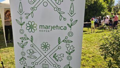 kako marjetica koper ohranja kopalisca cista in privlacna 6a50a695b6c43 1783670421