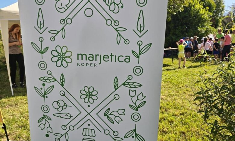 kako marjetica koper ohranja kopalisca cista in privlacna 6a50a695b6c43 1783670421