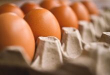 odpoklic 19 milijonov jajc zaradi tveganja prisotnosti bakterije salmonele 6a630d7ec514b 1784876414