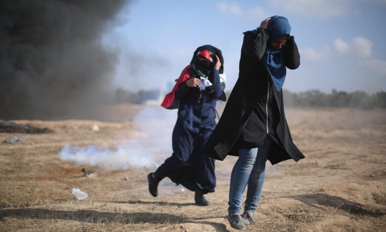 palestin