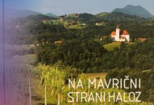 praznik urejenosti in vina v podlehniku nagrade za najboljse 6a50ece265f5f 1783688418