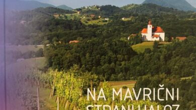 praznik urejenosti in vina v podlehniku nagrade za najboljse 6a50ece265f5f 1783688418