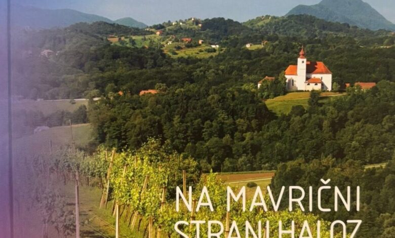 praznik urejenosti in vina v podlehniku nagrade za najboljse 6a50ece265f5f 1783688418