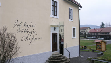 presenetljiva odkritja v zupancicevi hisi razkrivajo zgodovinske skrivnosti 6a58737c2a790 1784181628