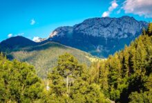 sezana z inovativnimi vavcerji privablja turiste k odkrivanju krasa 6a68e017a1629 1785258007