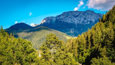 sezana z inovativnimi vavcerji privablja turiste k odkrivanju krasa 6a68e017a1629 1785258007