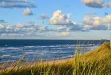 skrivnost cloveskih ostankov na otoku texel koncno razresena 6a6caa787a97d 1785506424