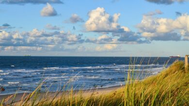 skrivnost cloveskih ostankov na otoku texel koncno razresena 6a6caa787a97d 1785506424