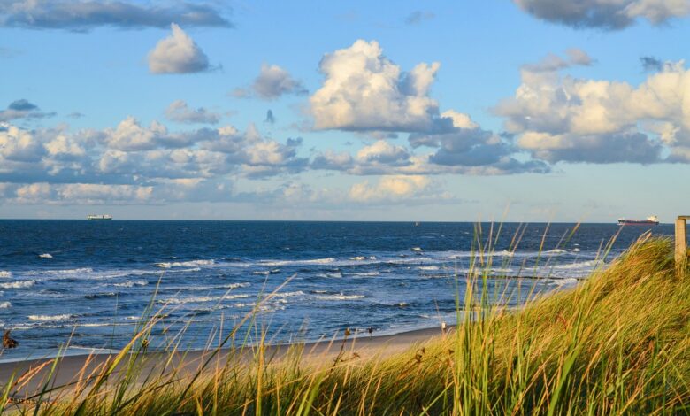 Skrivnost človeških ostankov na otoku Texel končno razrešena 1 skrivnost cloveskih ostankov na otoku texel koncno razresena 6a6caa787a97d 1785506424