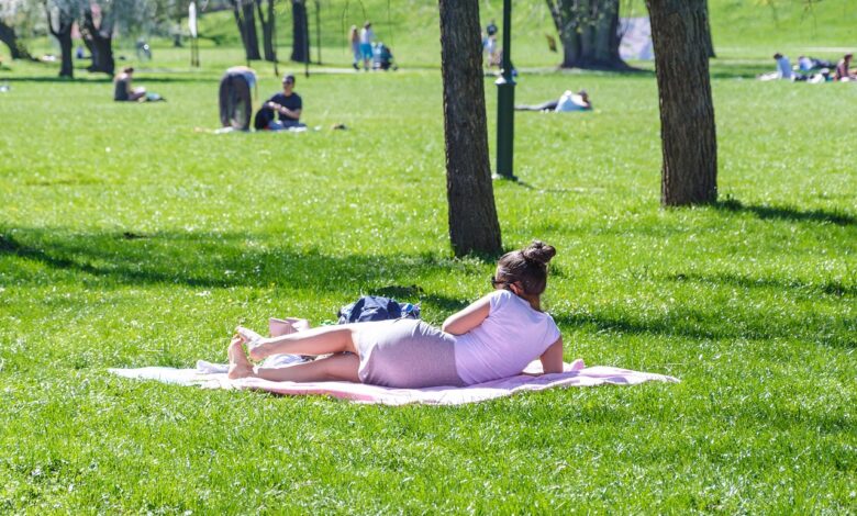 Tragične posledice vročinskega vala v Franciji: 5764 smrti 1 tragicne posledice vrocinskega vala v franciji 5764 smrti 6a61ca199a8c2 1784793625