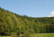 velika pozarna ogrozenost v sloveniji kljucne informacije za varno poletje 6a4d4cc6e613c 1783450822