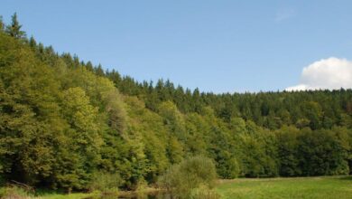 velika pozarna ogrozenost v sloveniji kljucne informacije za varno poletje 6a4d4cc6e613c 1783450822