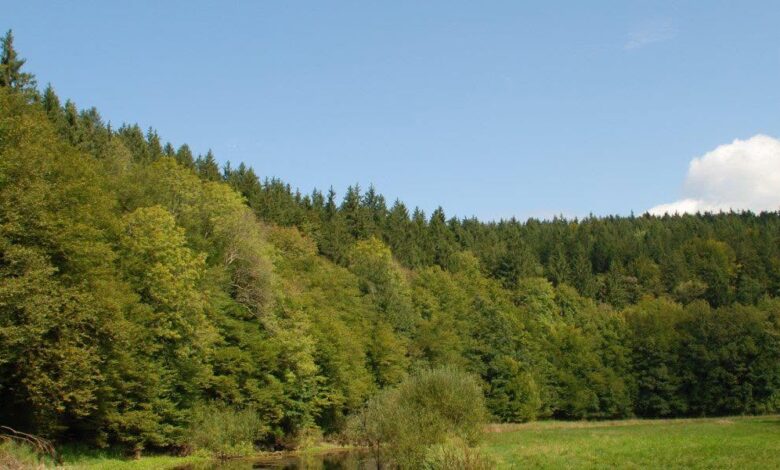 velika pozarna ogrozenost v sloveniji kljucne informacije za varno poletje 6a4d4cc6e613c 1783450822
