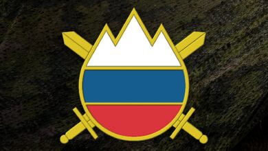 Slovenska vojska stran fb