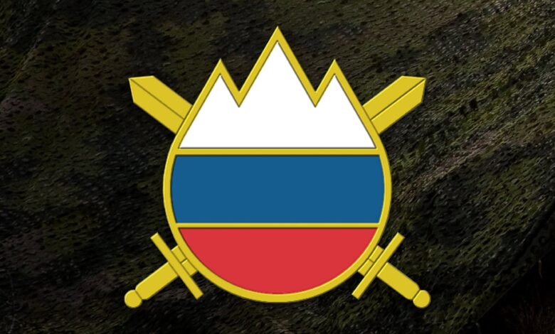 Slovenska vojska stran fb