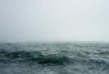 Kijev zavrača turške pobude za premirje v Črnem morju 18 blac sea