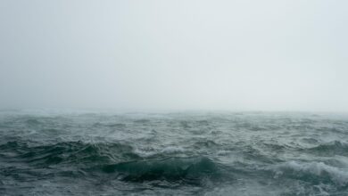 Kijev zavrača turške pobude za premirje v Črnem morju 5 blac sea