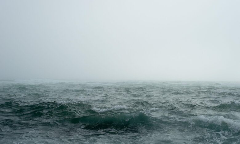 blac sea
