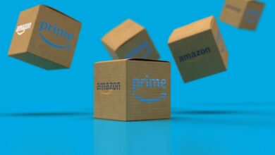 dokumentarec the jungle iz gorice zdaj na amazon prime 6a906d1839fa8 1787850008