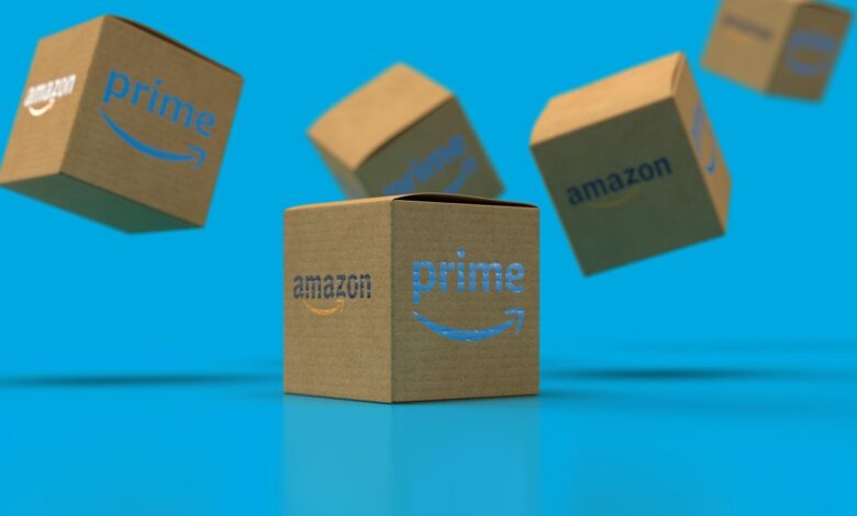 dokumentarec the jungle iz gorice zdaj na amazon prime 6a906d1839fa8 1787850008