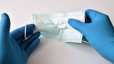 ebola virus