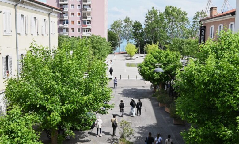 nova investicija v kopru gradnja dvigala na markovec 6a8876113a896 1787328017