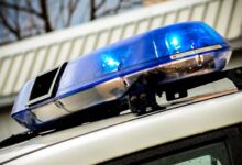 pestro dogajanje na dolenjskem nesrece pretepi in ugrizi 6a8813ab69502 1787302827
