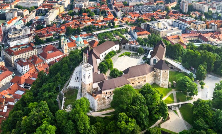 Prelomno arheološko odkritje na Ljubljanskem gradu navdušuje arheologe 1 prelomno arheolosko odkritje na ljubljanskem gradu navdusuje arheologe 6a734ff8d0f1b 1785942008