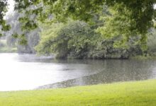 raining