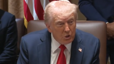 trumpov nacrt za omejitev drzavljanstva z rojstvom sproza polemike 6a75d6d65eb09 1786107606