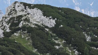 upokojenci iz dolenjskih toplic preplezali visevnik prvi dvatisocak letosnjega leta 6a8eab22391ac 1787734818
