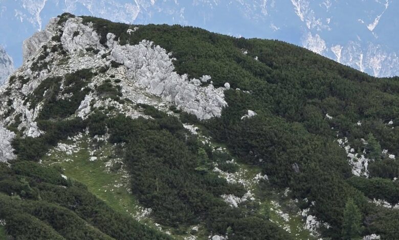 upokojenci iz dolenjskih toplic preplezali visevnik prvi dvatisocak letosnjega leta 6a8eab22391ac 1787734818