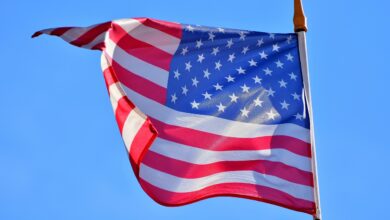 usa flag