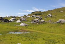 velika planina