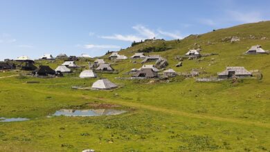 velika planina