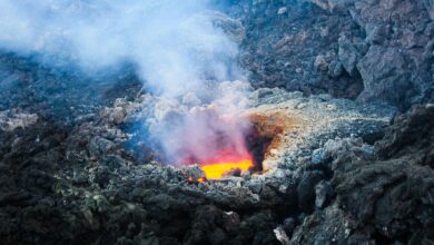 vulkan etna prekril catanio s pepelom letalisce zaprto 6a7ad688cb805 1786435208